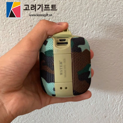 Loa Bluetooth mini 