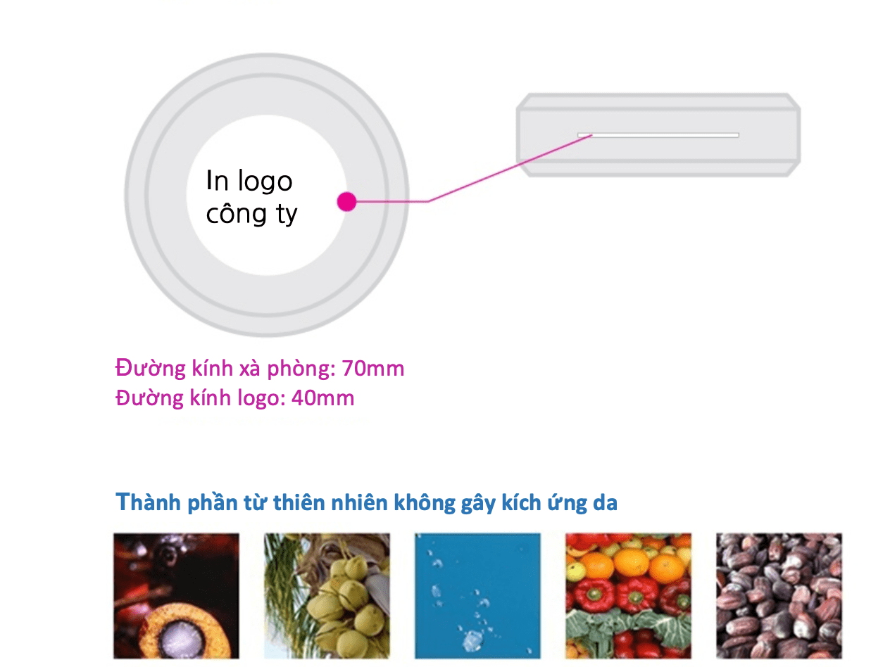 Ảnh Chụp Màn Hình 0006 01 05 Lúc 16.33.38 Min